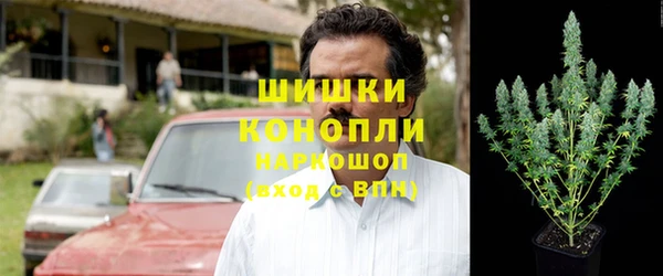 дурь Рославль