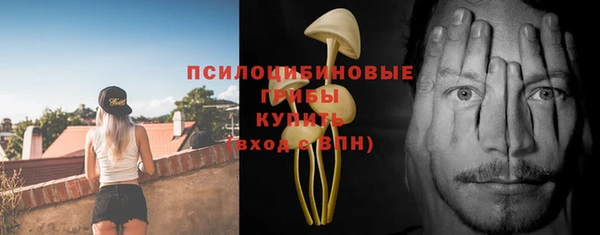 ALPHA-PVP Армянск