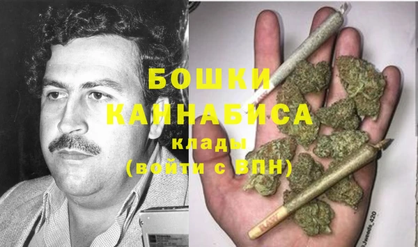 дурь Рославль